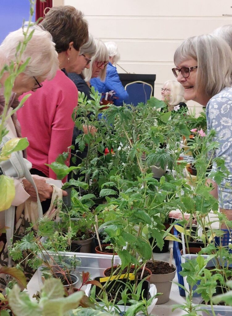 A group of customers browsing a table of plants at a Plant Sale