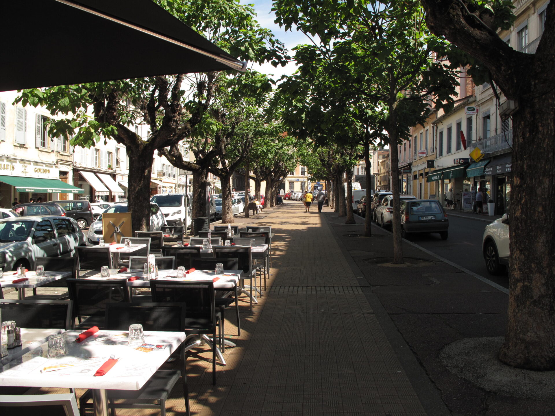 Cours Romestang street scene in Vienne, France