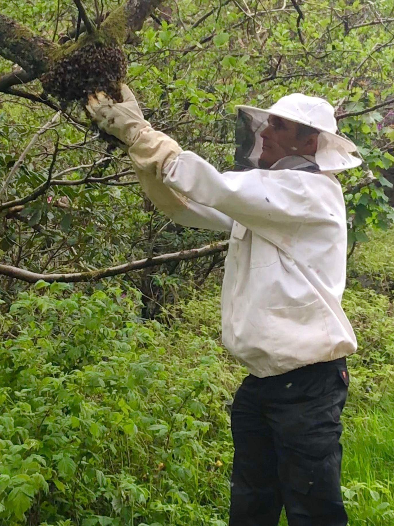 James Ellson dressed with beekeeper mesh veil headgear